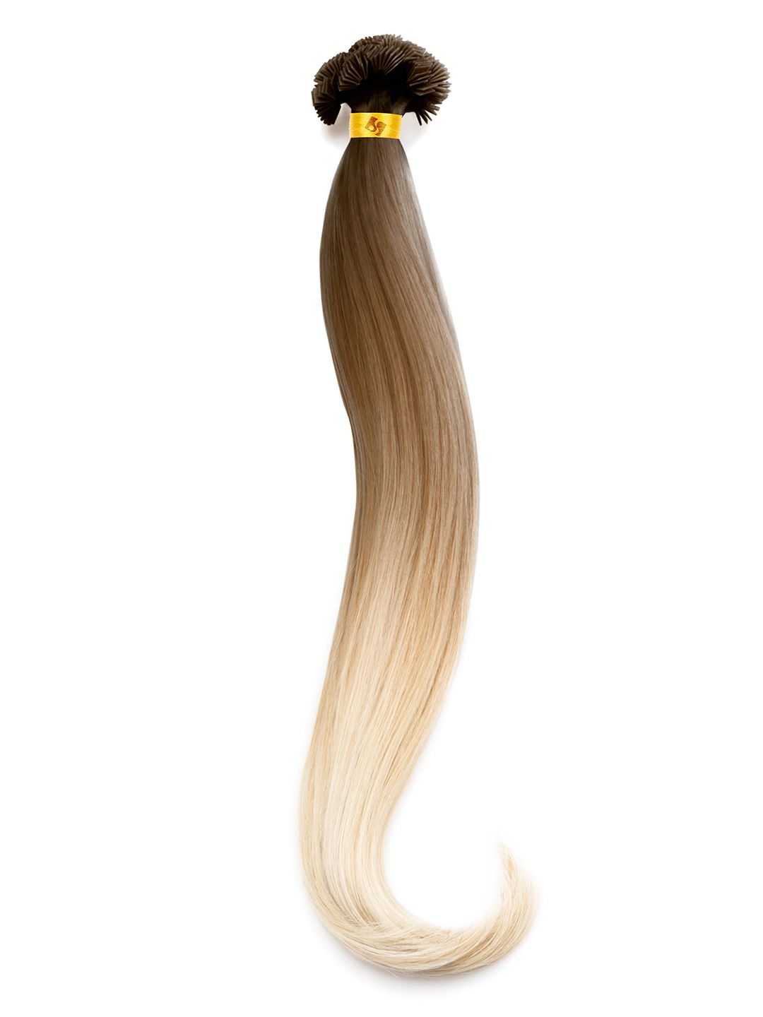 10 Keratin Bonding Extensions - professional Qualität - 55/60cm - ombré T1N/bordeaux variant detail image - 879518a53d54d072469e017085d77de602f618bcac201a6dc369ea5259890597