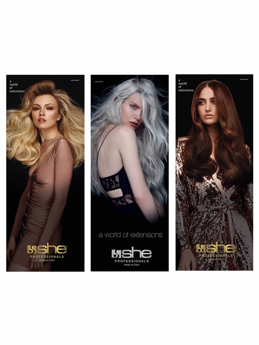 Extensions Poster product image - 3aa87e360f091e87e0cbeed4cf45debf934796af351587b875bbc80c5410bfd8